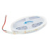 POWERMASTER BUZ MAVİ 5 METRE 12V  COB ŞERİT LED STRIP 200 LED 3000K FOSFORLU
