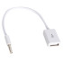 POWERMASTER USB DİŞİ TO AUX STEREO 3 BOĞUMLU KABLO